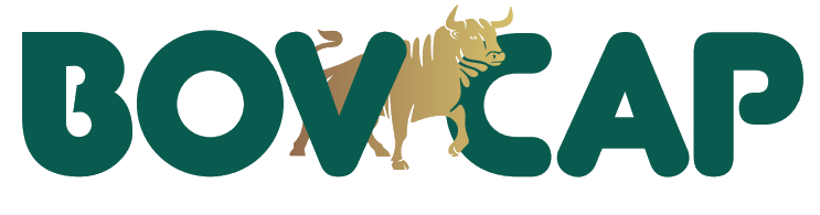 Logo BOVCAP